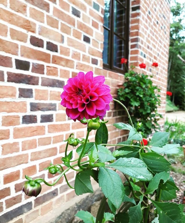 Hospedagem Rural Fazenda Sacramento Timbó 部屋 写真